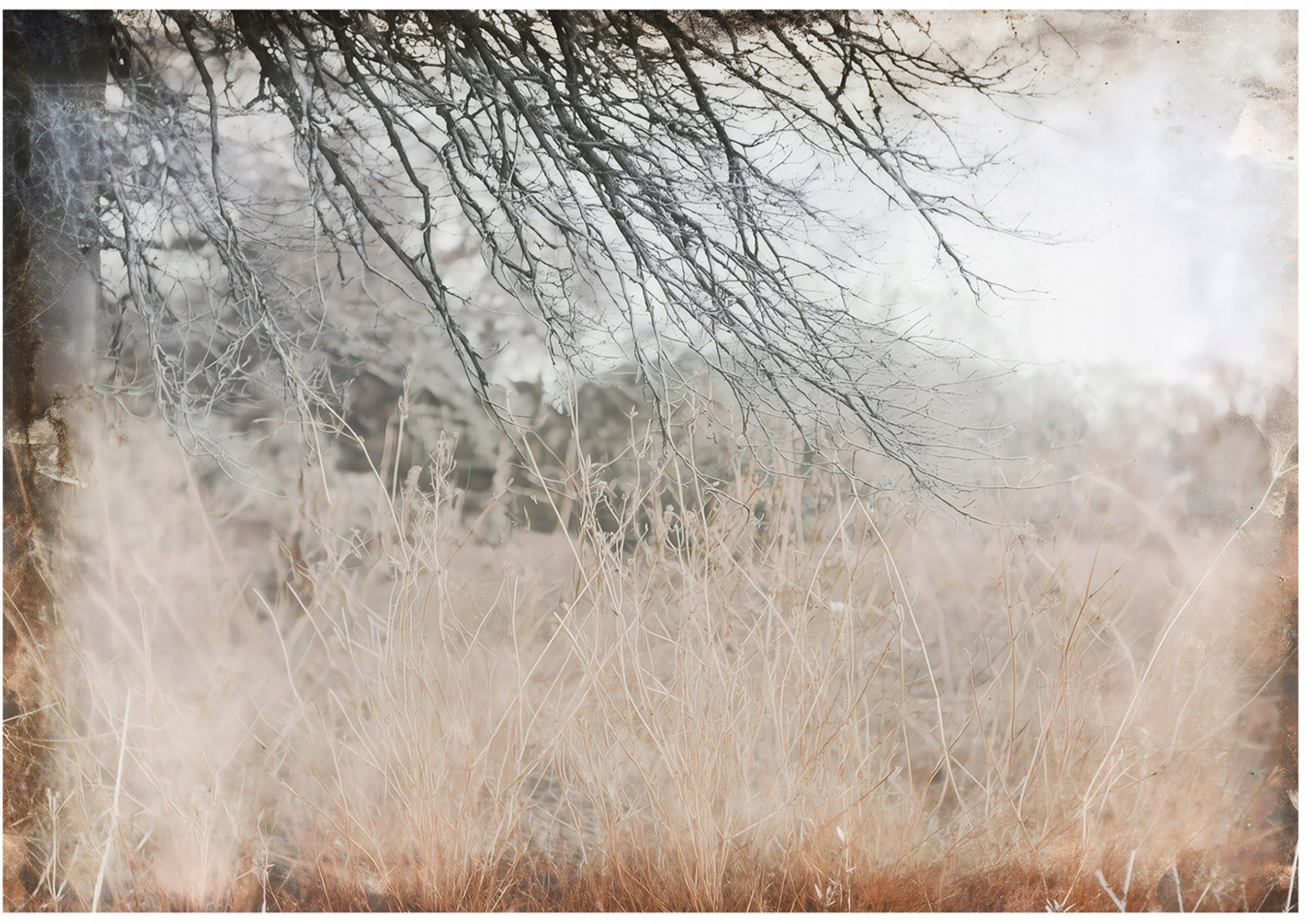 Fototapeta Na Flizelinie Łąka Abstrakcja Do Sypialni Salonu 250x175