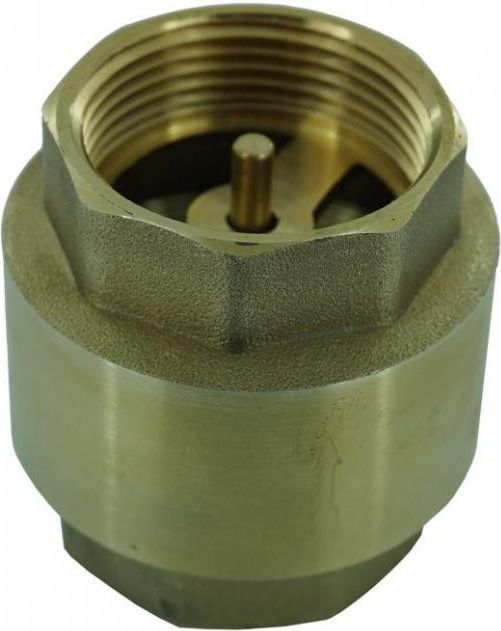 Zawór zwrotny z bolcem mosiężnym 2"