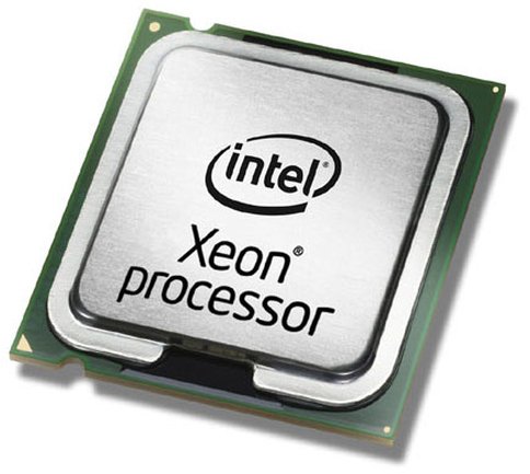 Procesor serwerowy Fujitsu Intel Xeon Gold 5217 procesor 3 GHz 11 MB L3