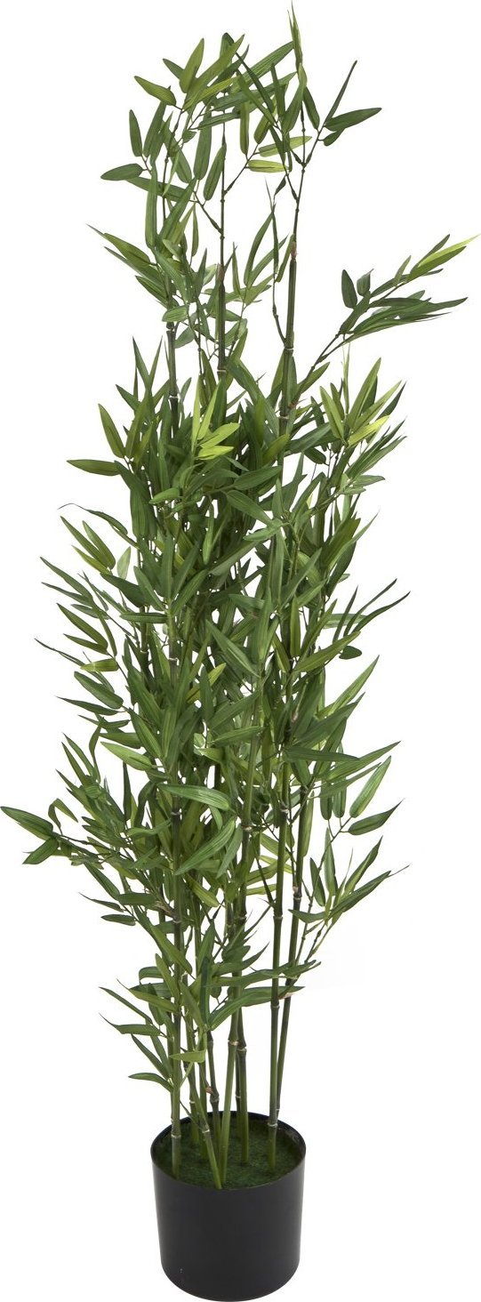 Witek Home Kwiat doniczkowy Oleander 123 cm