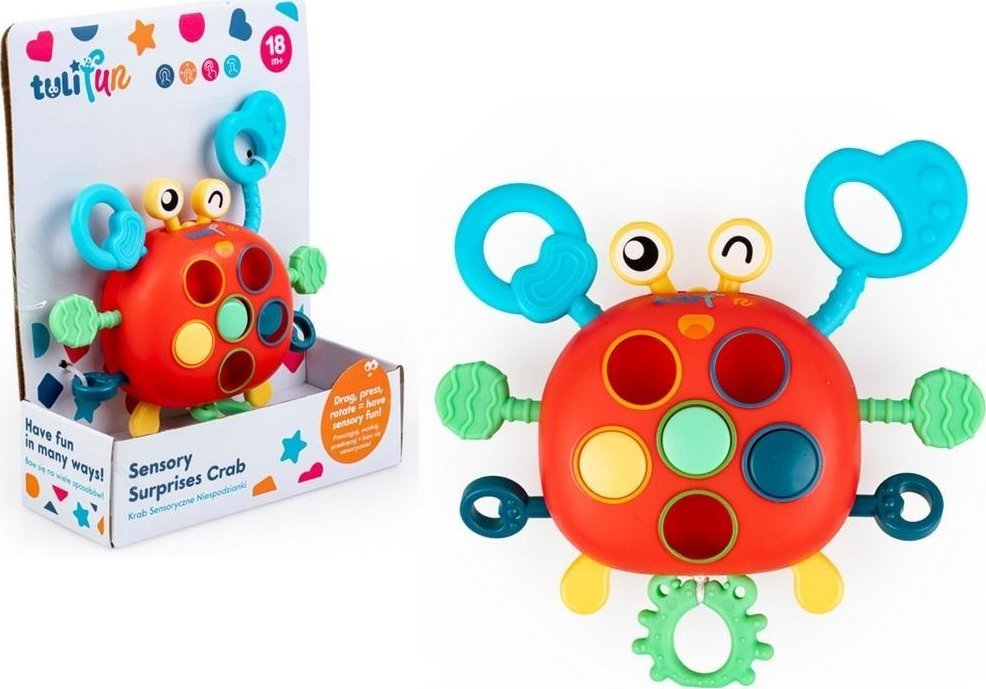 Krab Sensoryczne Niespodzianki