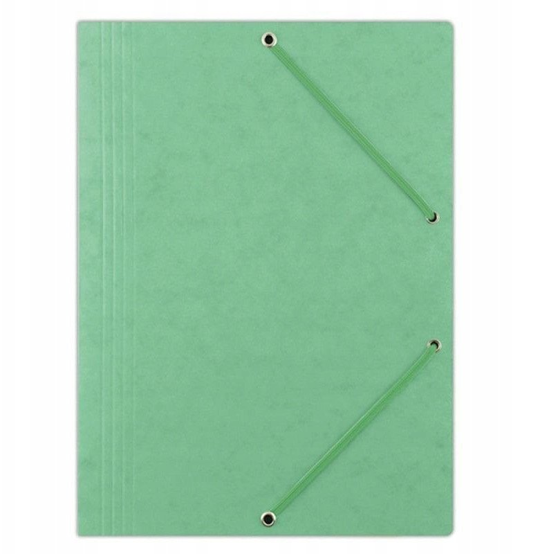 Teczka A4 z gumką Jasnozielona (10szt)
