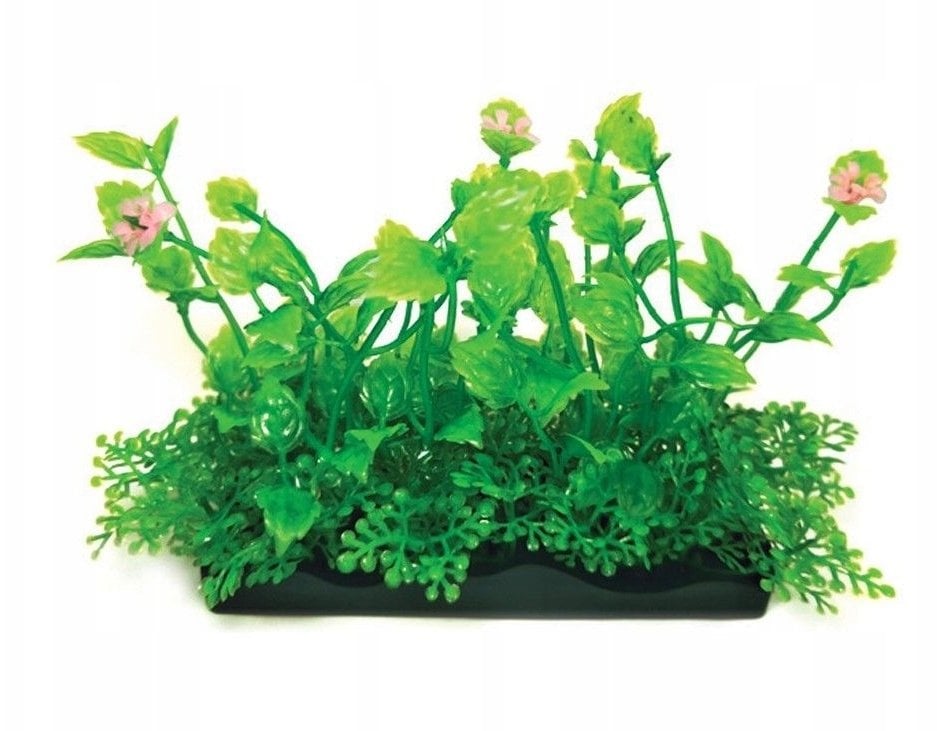 Terra Natura Aqua Natura, roślina, do dekoracji akwarium, zielona, plastikowa, 10 cm, żółtawe liście