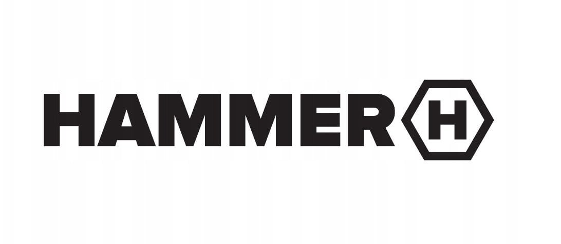 Smartphone Hammer Iron 6 5G 8/256 pomarańczowy