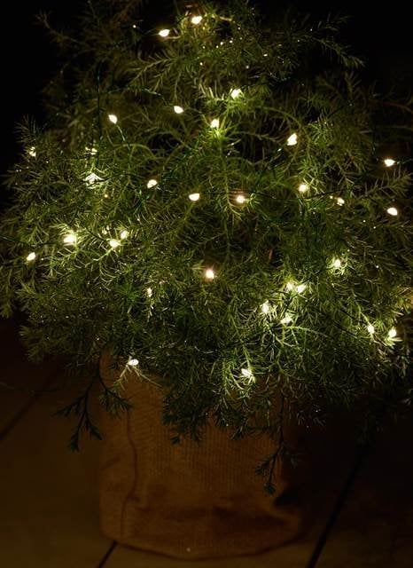 Sirius Knirke 40L, Klar/Grøn