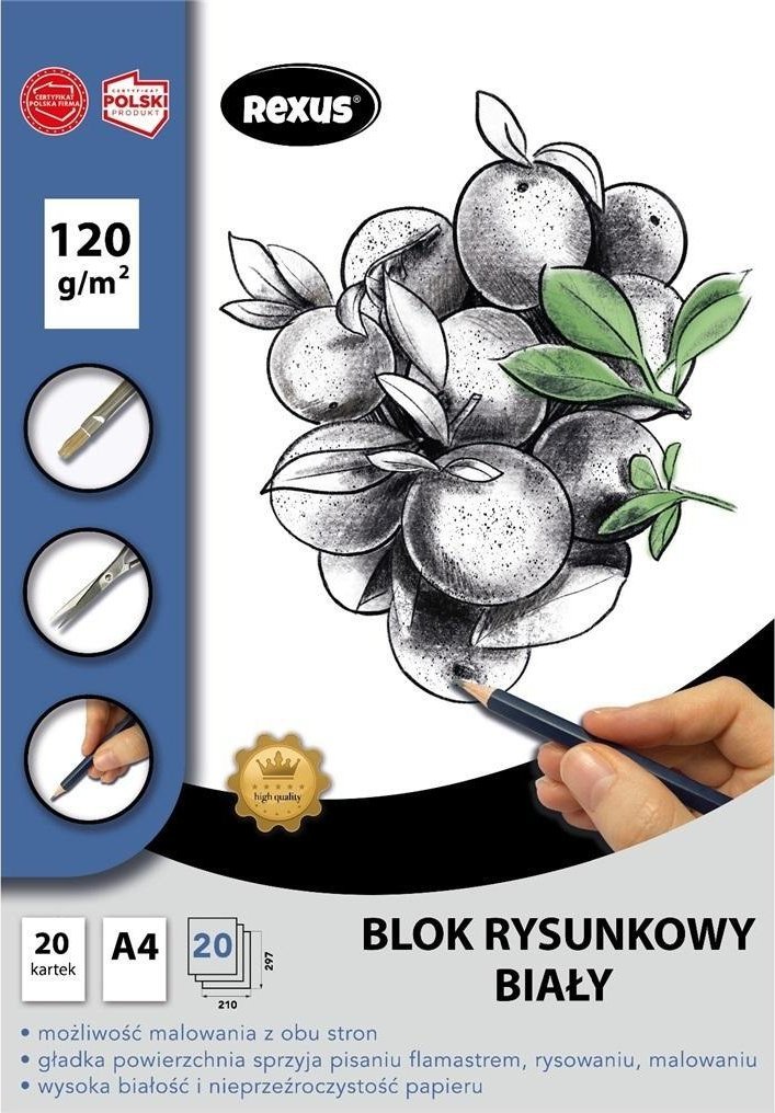 Beniamin Blok rysunkowy A4/20K biały Premium