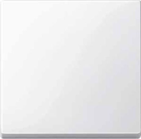 Schneider Merten System M Klawisz pojedynczy biel polarna (MTN432119)