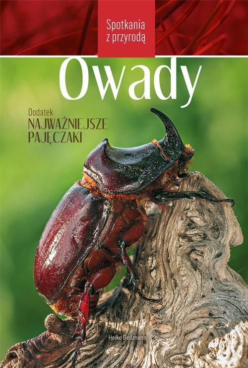 Spotkania z przyrodą. Owady - 184933