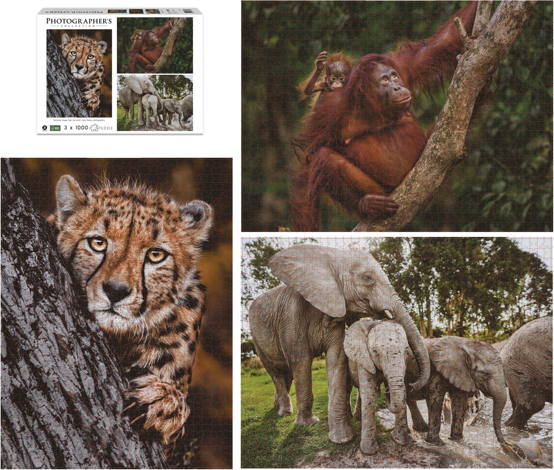 Krups Ambassador Wildlife Families 3x 1000 Pieces (Donal Boyd)