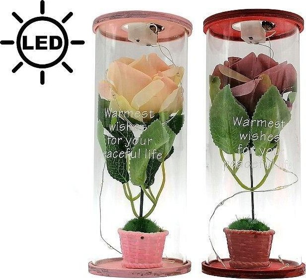 Róża w tubie LED MIX