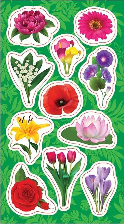 Ranok Naklejki Kwiatki