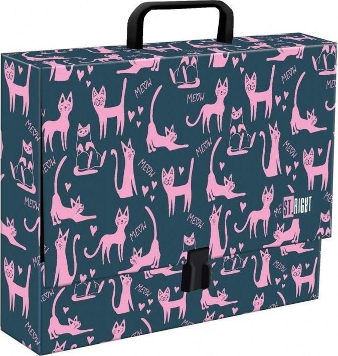 Teczka z rączką A4 XL Lazy Cats