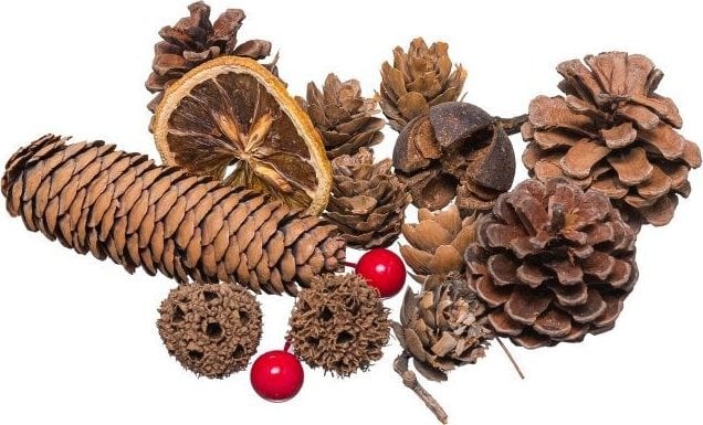 BREWIS Susz dekoracyjny 30~40g SD 1