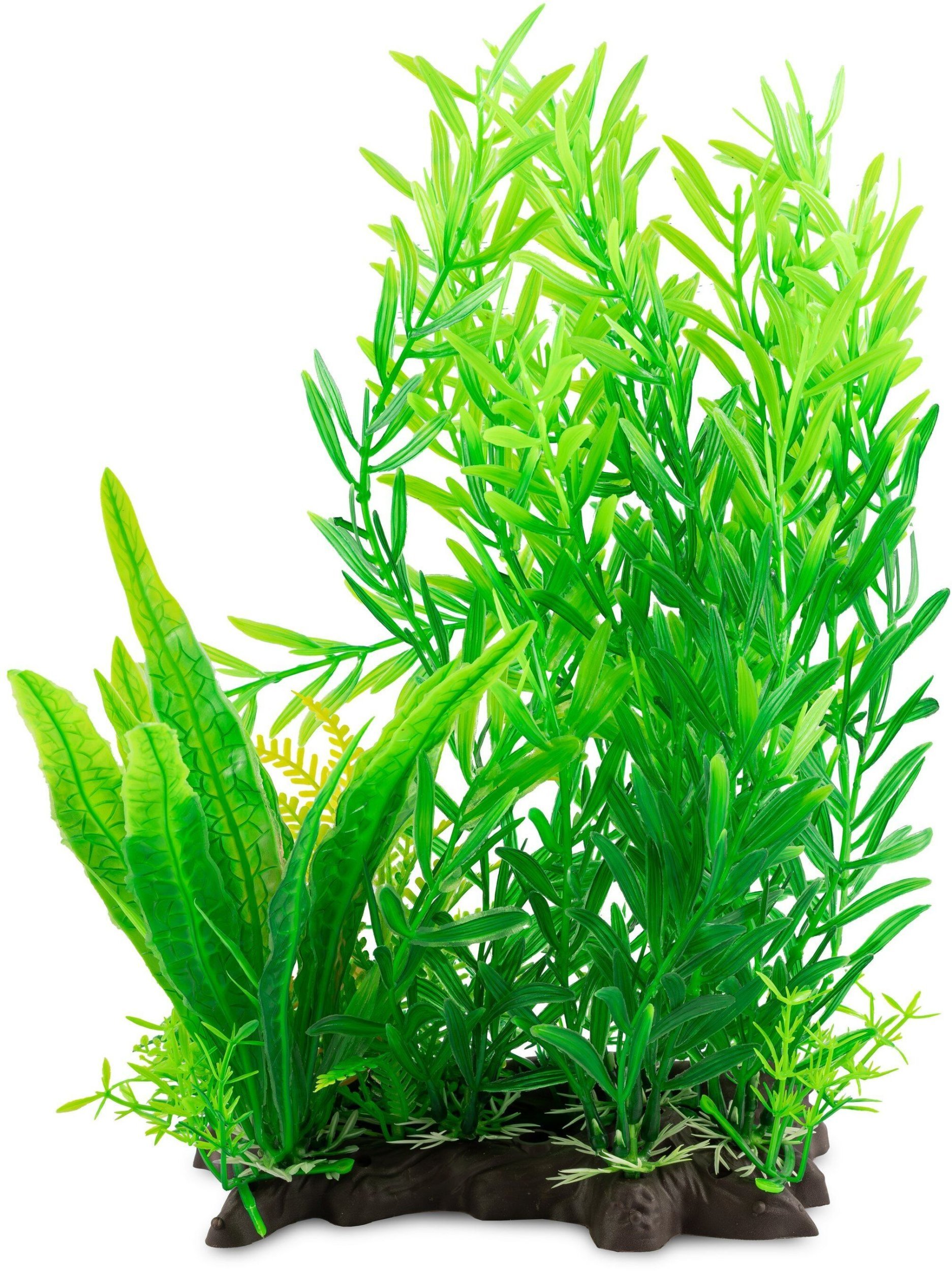 Terra Natura Aqua Natura, roślina, do dekoracji akwarium, zielona, plastikowa, 28 cm, mix rozmaryn i wodorosty