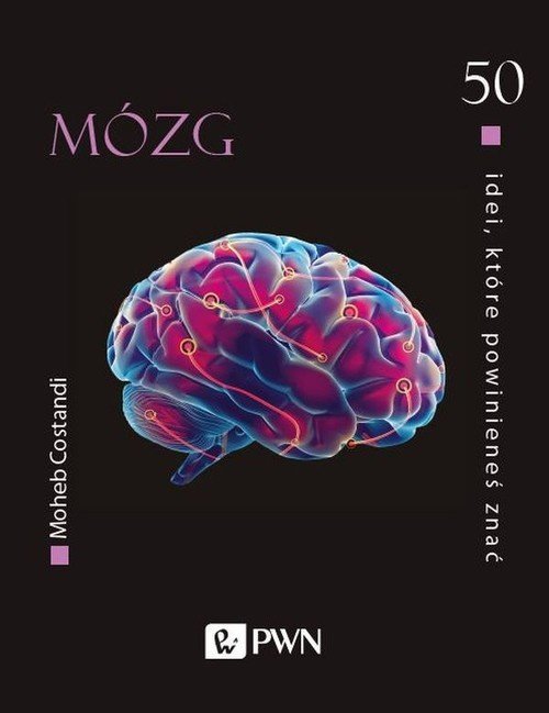 Wydawnictwo Naukowe PWN 50 idei, które powinieneś znać Mózg