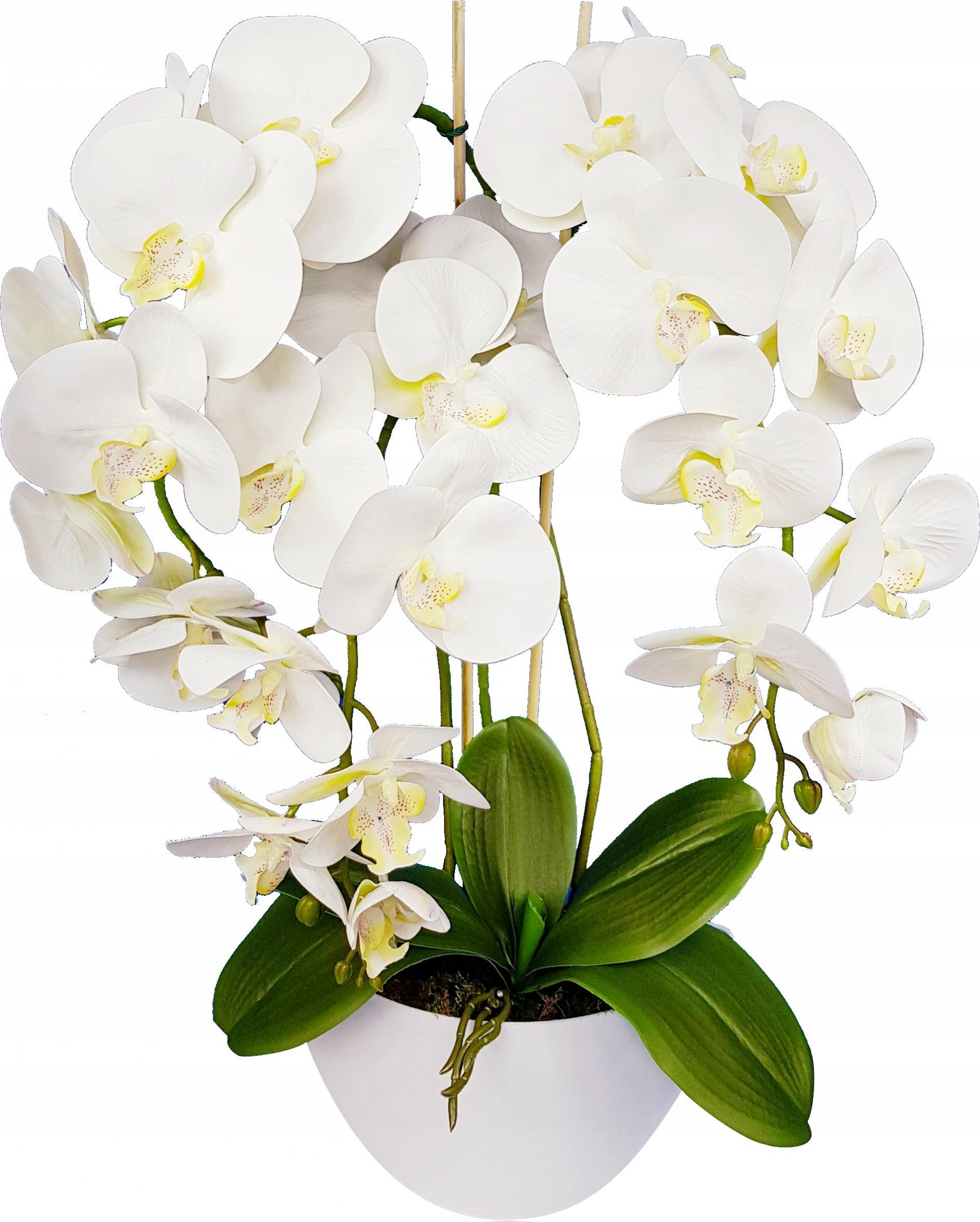 Damich STORCZYK SZTUCZNY KWIATY ORCHIDEA 3P guma jak żywy