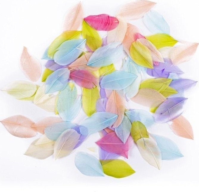 Pióra gęsie pastel 6cm 5g