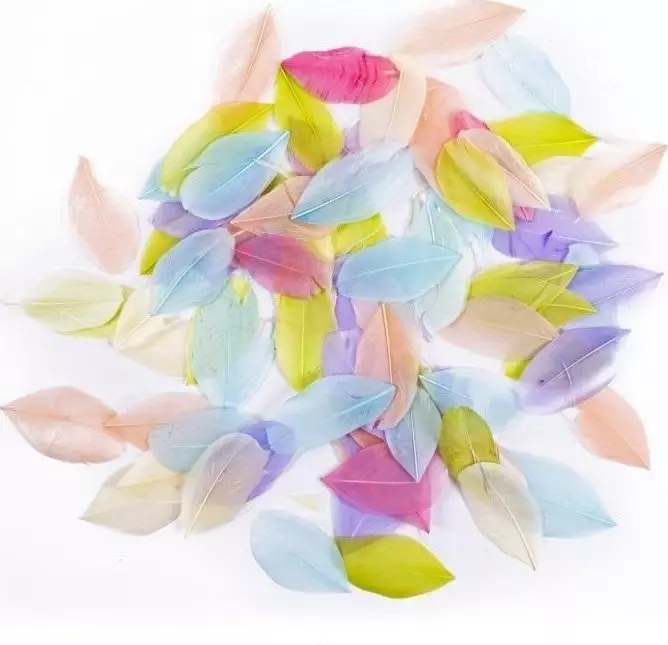 Pióra gęsie pastel 6cm 5g