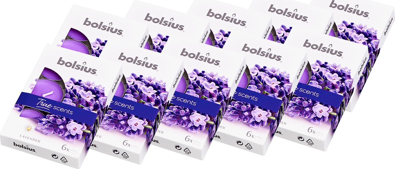 Bolsius Podgrzewacze zapachowe BOLSIUS True Scents 4H 60szt. LAWENDA