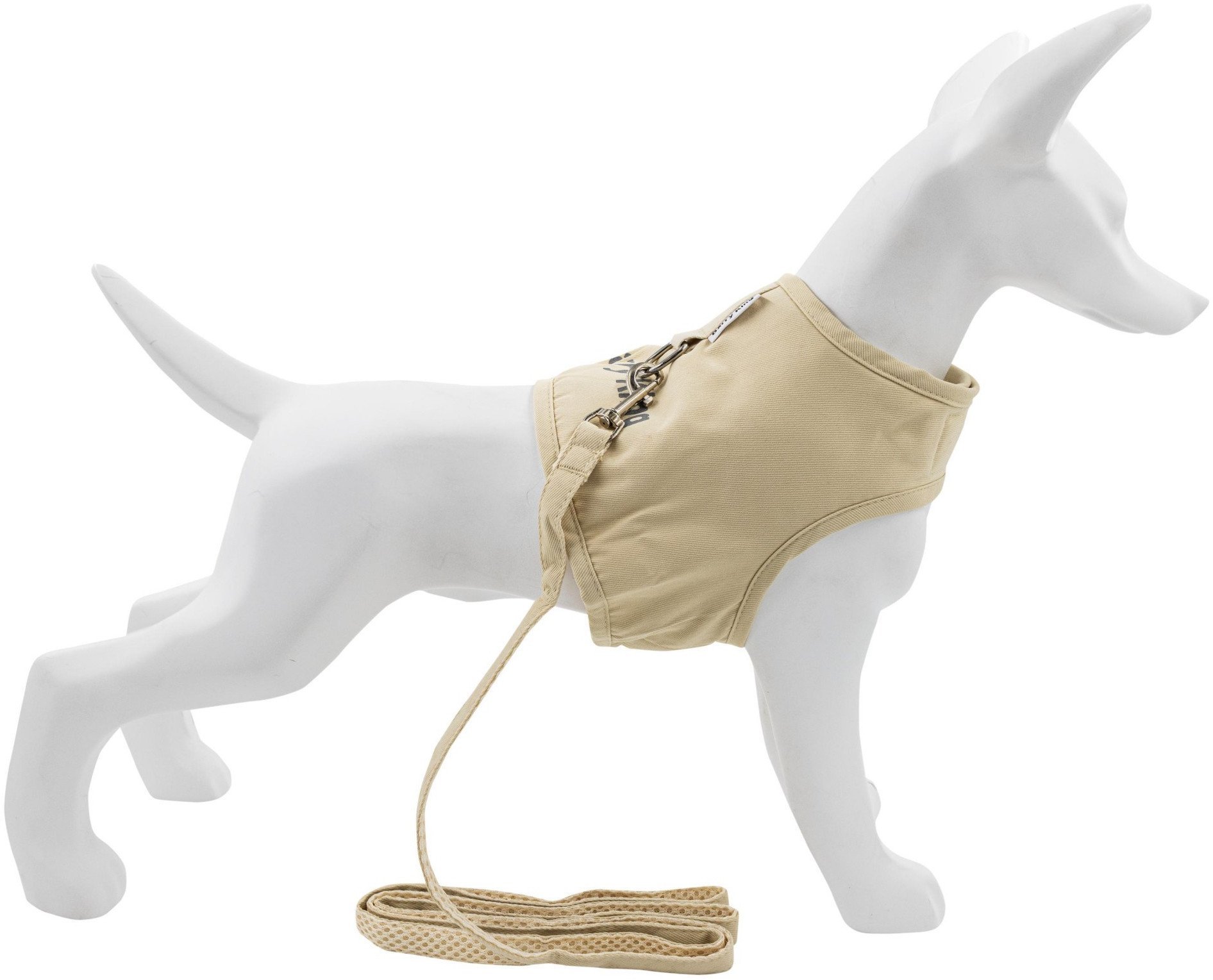 Zestaw, szelki+smycz, dla psa, ecru, p��tno nylonowe, rozmiar XL