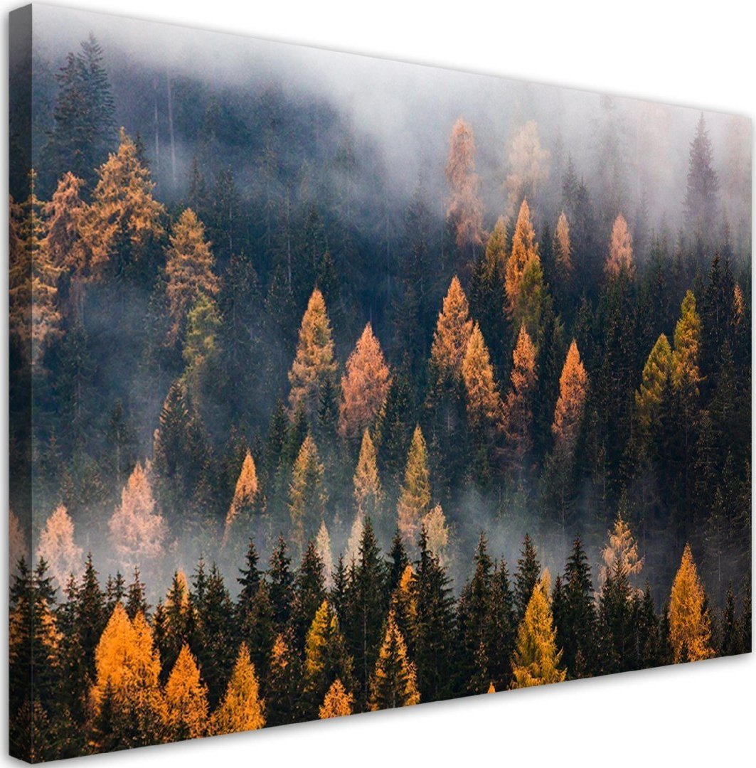 Feeby Obraz na płótnie, Jesienny krajobraz drzew - 120x80