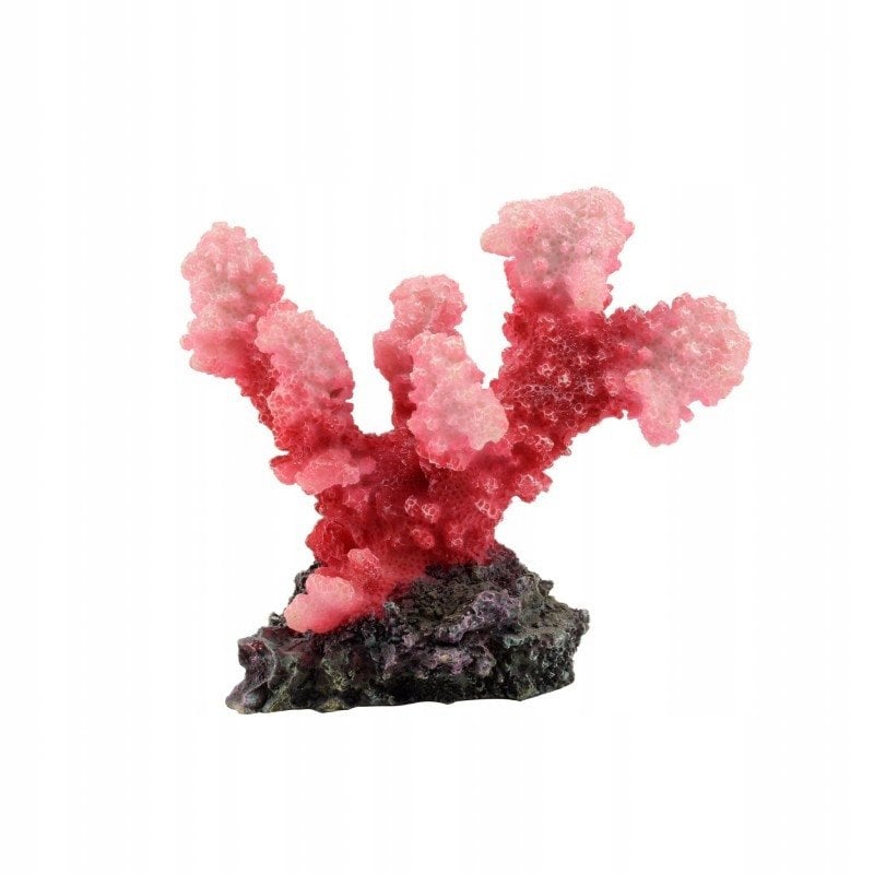 Aqua Natura Dekoracja akwarystyczna koralowiec r�owy 11cm