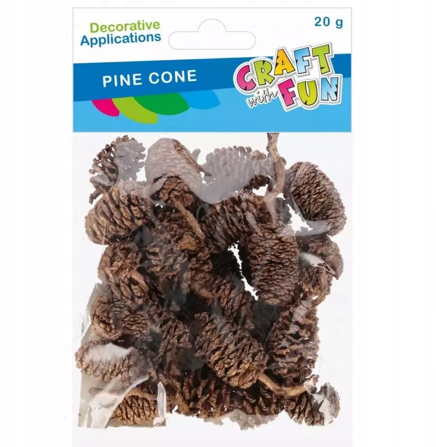 OZDOBA NATURA SZYSZKA 20G CF PBH 12/144