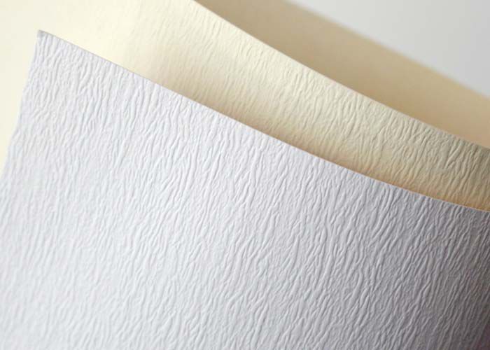 Argo Papier ozdobny Galeria Papieru atlanta biały A4 230g 20 arkuszy