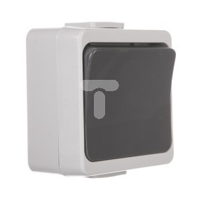 Timex JANTAR-bis Przycisk zwierny /światło/ n/t IP44 szary WNT-6J-b - WNT-6J-b SZ