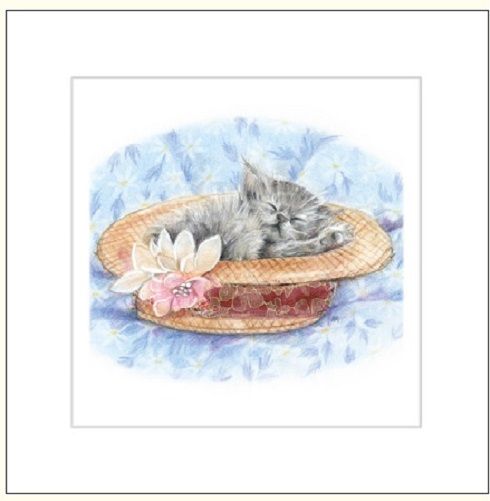 DA VINCI Karnet Kot w kapeluszu DaVinci 16x16 cm + koperta (G04 41G 052)