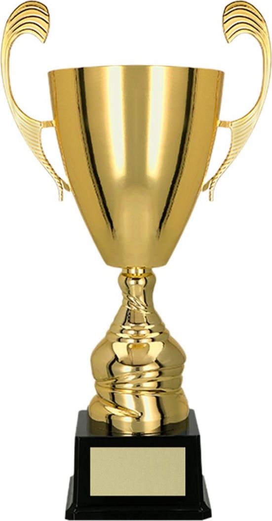 Victoria Sport Puchar metalowy złoty T-S