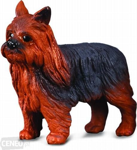 Figurka Collecta Pies Yorkshire Terier