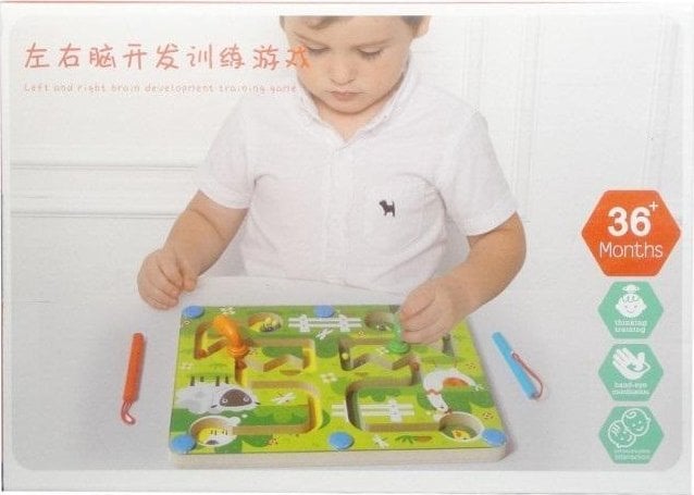 Zabawka drewniana Labirynt