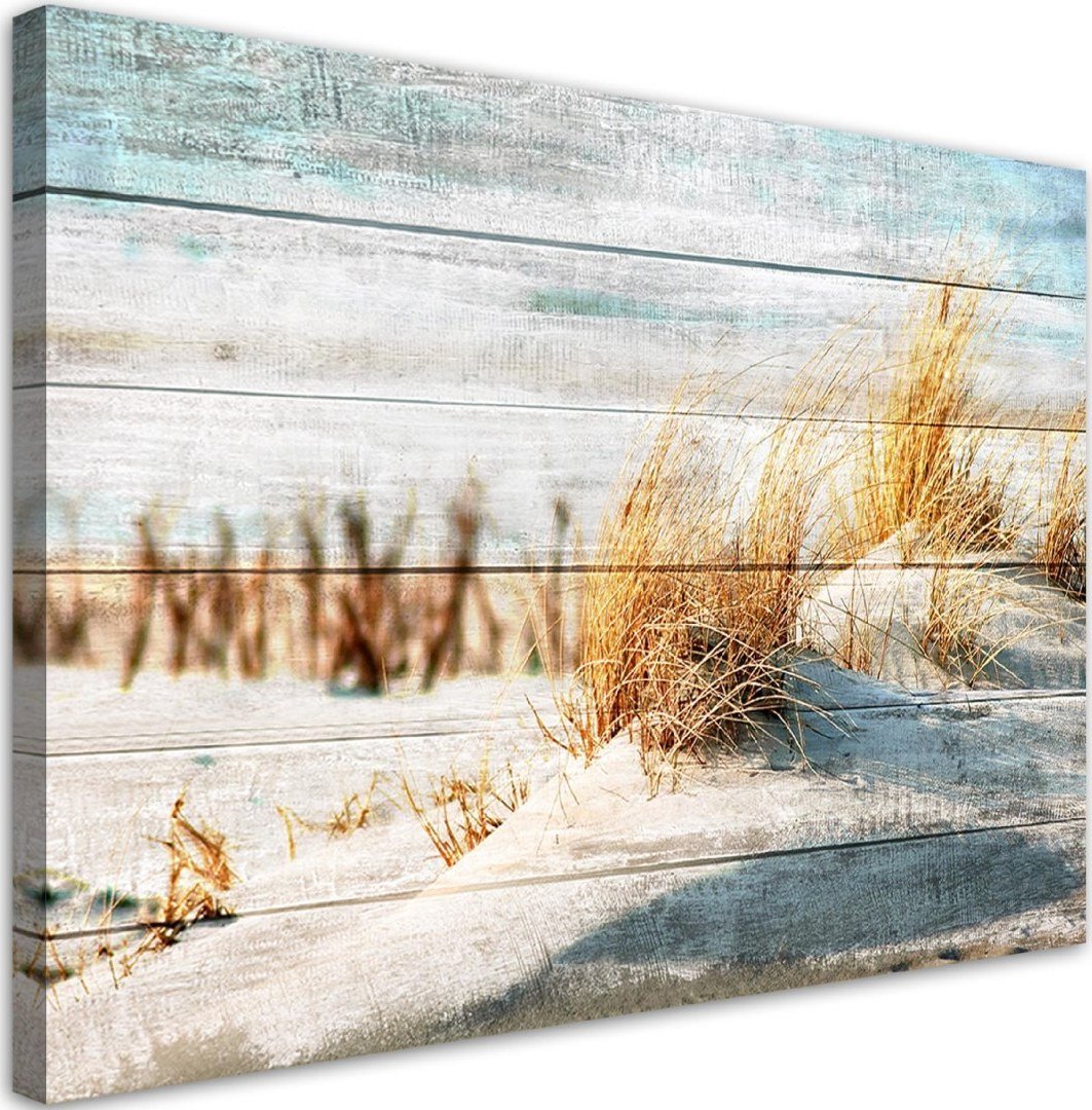 Feeby Obraz na płótnie, Plaża wydmy na drewnie - 120x80