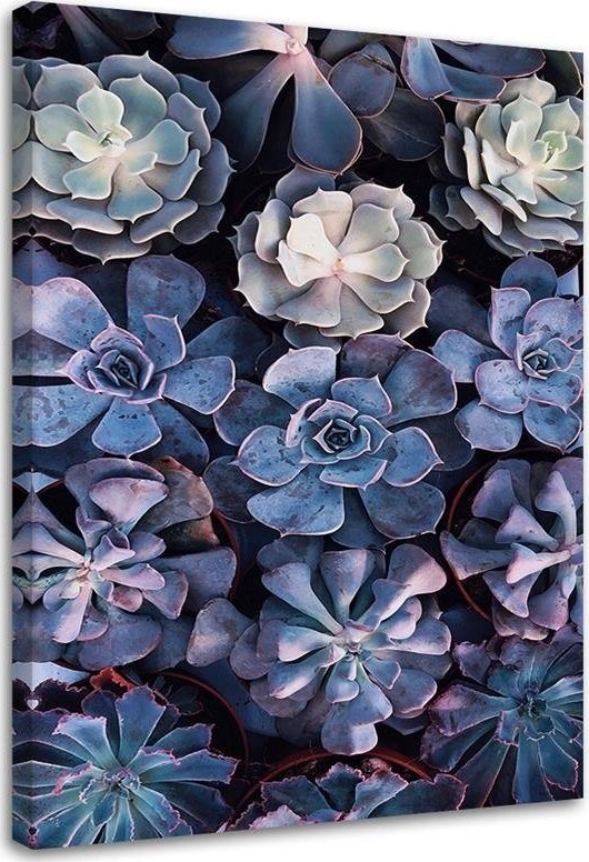 Feeby Obraz na płótnie, Shabby Chic kwiaty natura - 60x90