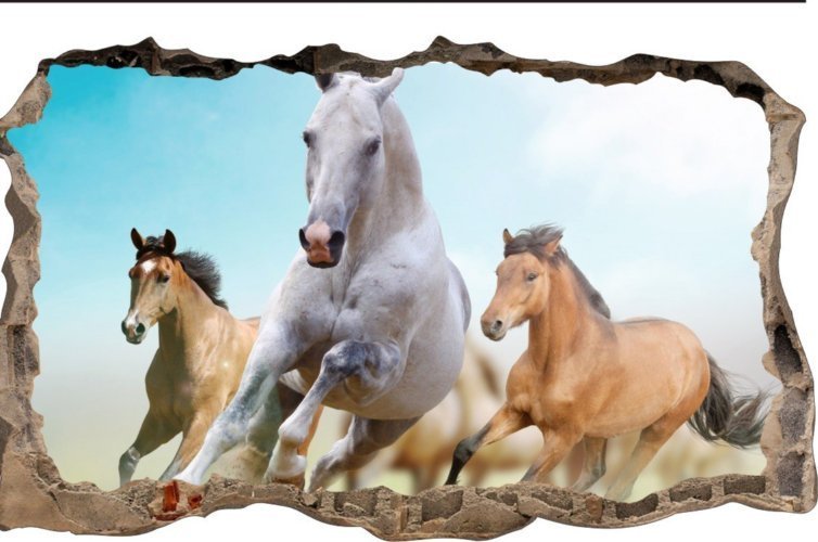 naSciane Naklejka na scianę dziura Koń Konie w galopie