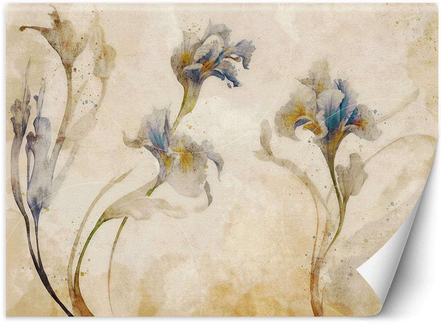 Feeby Fototapeta Irysy akwarela 250x175 medium
