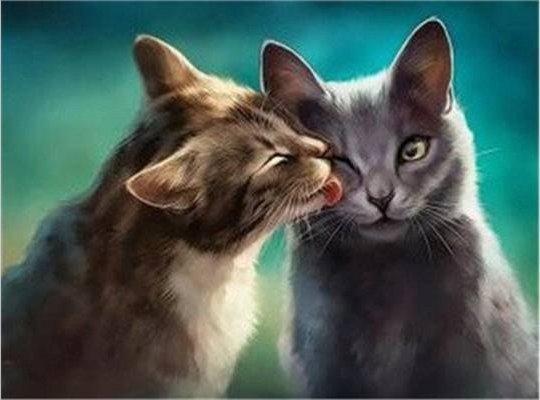 Norimpex Diamentowa Mozaika Kocia Miłość 30x40