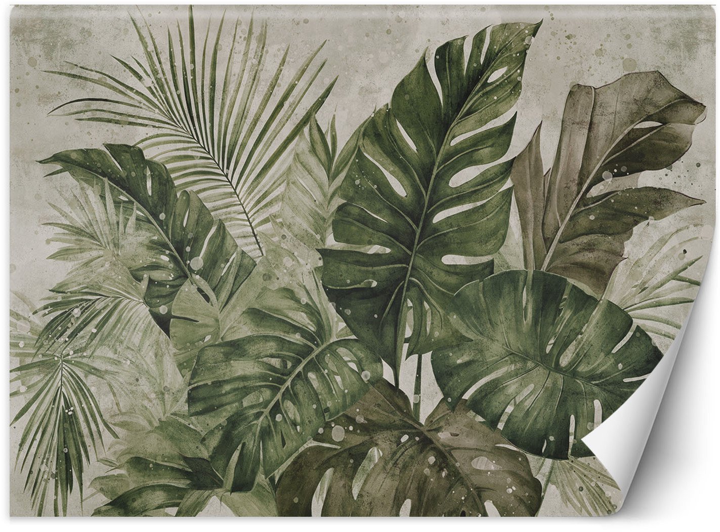 Feeby Fototapeta Tropikalne liście monstery 450x315 xxl