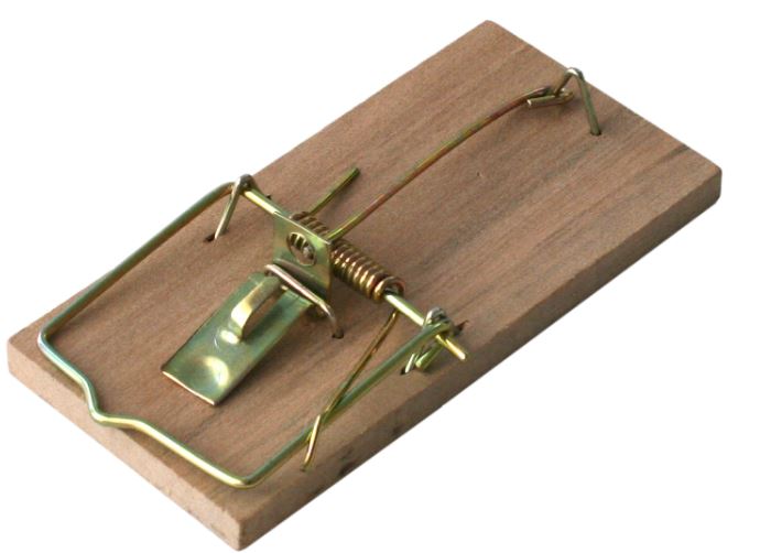 Bros Łapka na myszy drewniana (066)