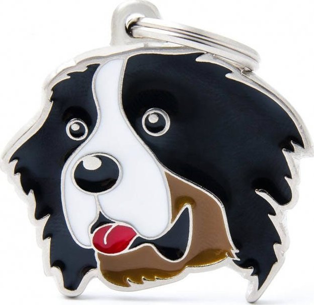 Zawieszka Adresówka Identyfikator z grawerem dla psa bernese moutian