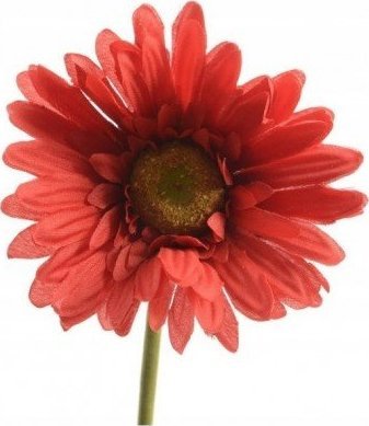 Kaemingk Gerbera czerwona sztuczna do wazonu 50 cm