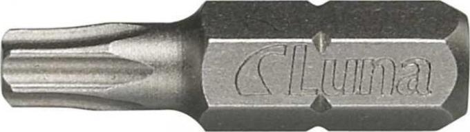 Luna Groty Torx T25 1/4" 25mm (2SZT.)