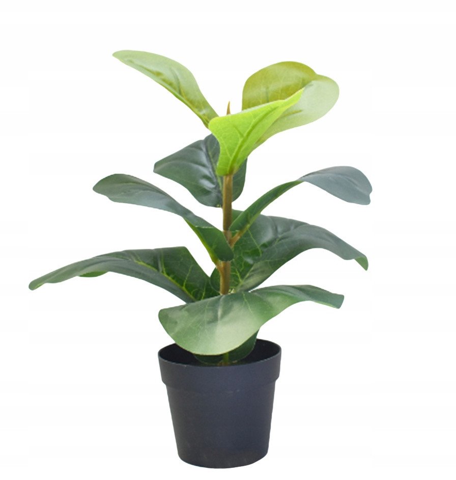 SZTUCZNA Roślina W DONICZCE REALISTYCZNA 35cm Fikus FIGOWIEC Piękny