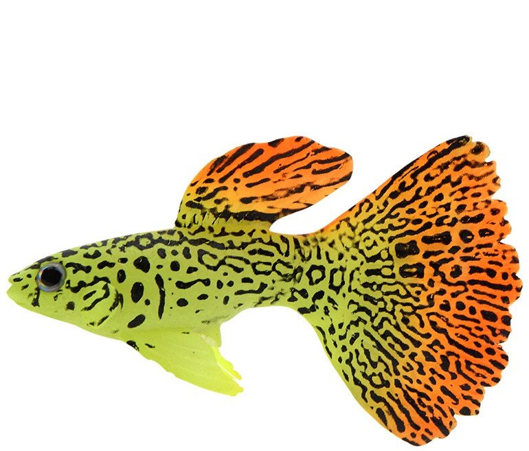 OZDOBA AKWARIOWA RYBKA SZTUCZNA Pływająca GŁUPIK