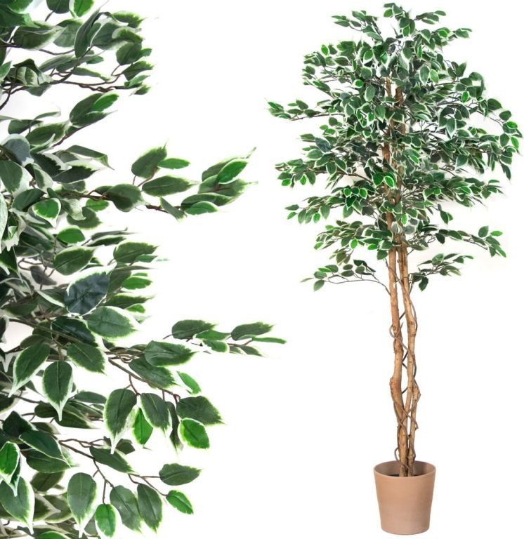 Tuin Drzewko sztuczne dekoracyjne Fikus 190 cm