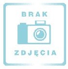 Coil klocki konstrukcyjne zestaw 977el. elementów kwiaty