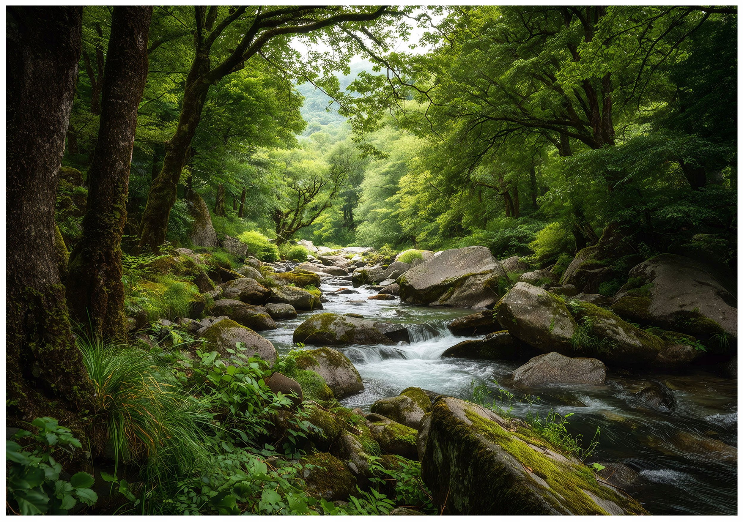 Fototapeta Na Flizelinie Las Natura Do Sypialni Salonu 400x280
