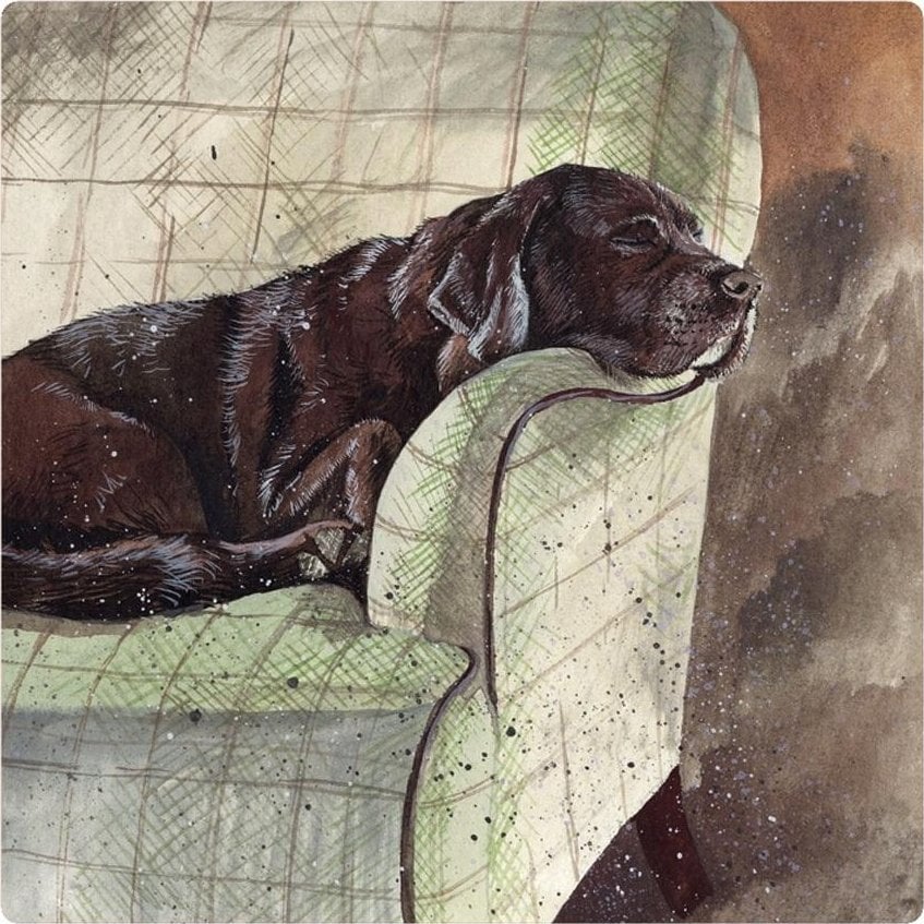 Teka Magnes FM228 Pies Buddy