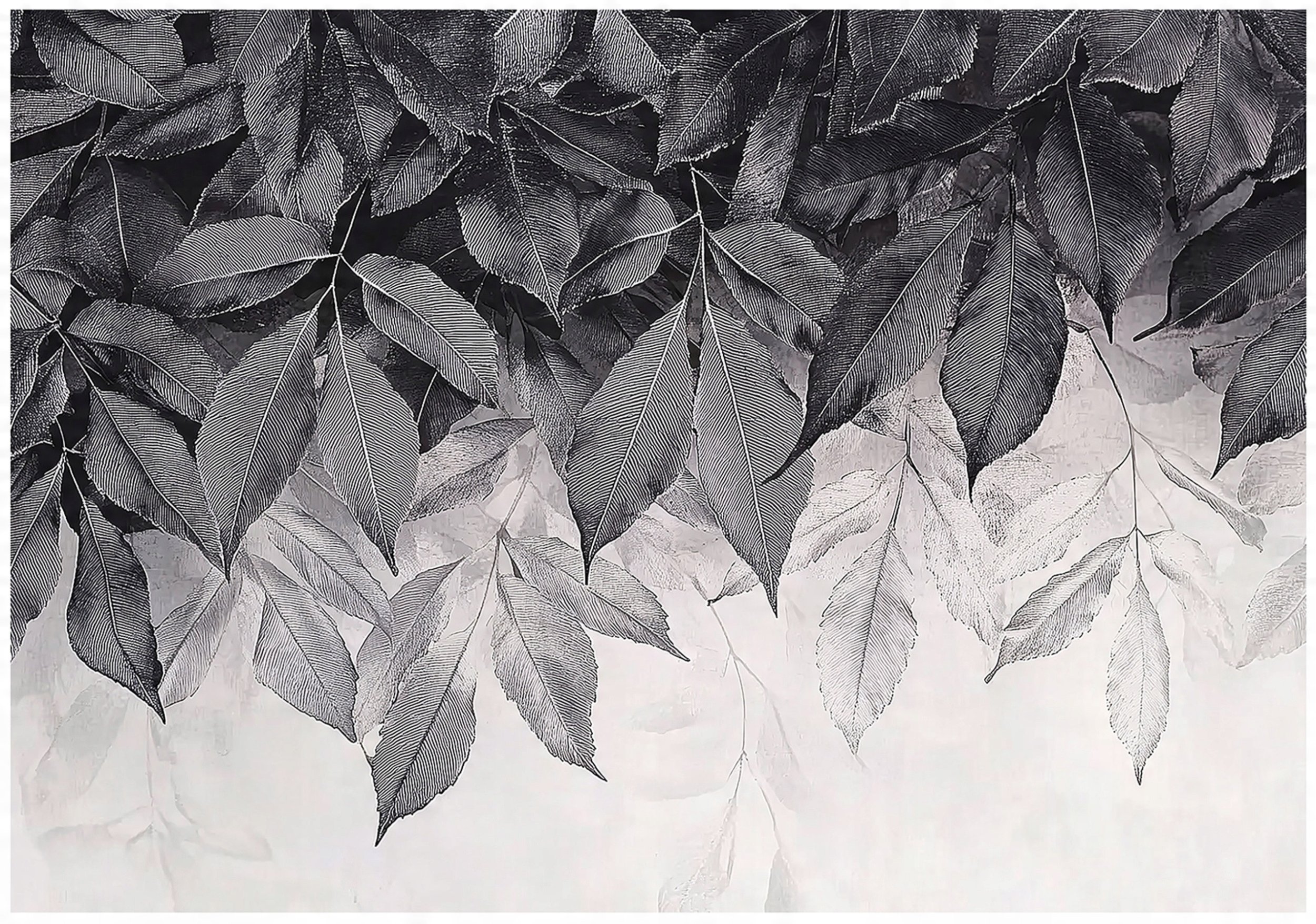 Fototapeta Liście Wiszące Szary Sypialnia Salon Tapeta Flizelina 300X210